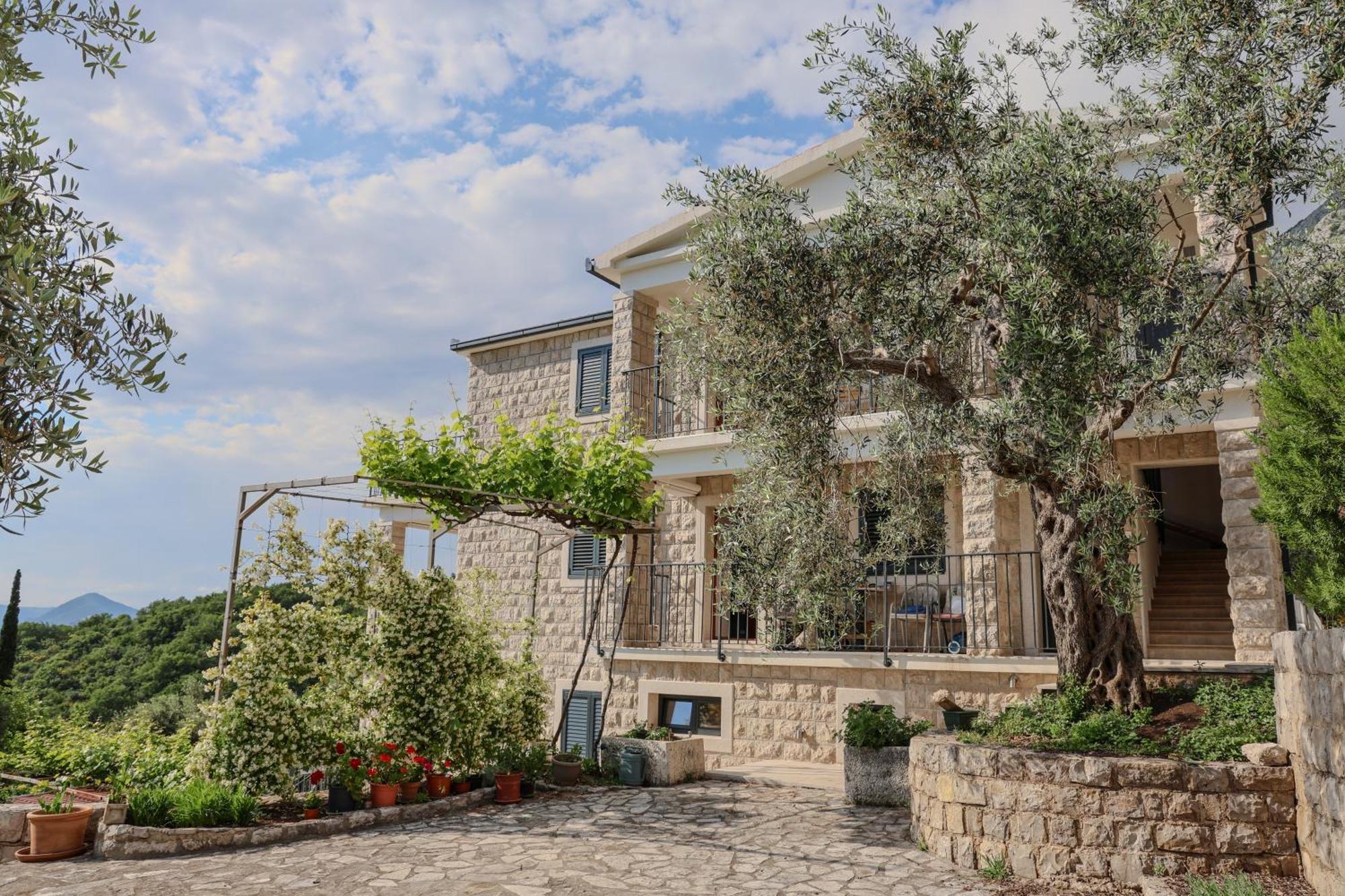 Residence Vukovic, Rijeka Reževići Exterior foto